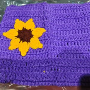 Private Label Lord Gopal Violet Colour Winter Blanket