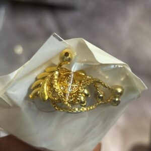 Private Label Gold Plated Sita Rani Haar with Earrings for Women