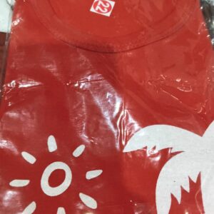 Private Label Red Colour Kid Boys T Shirt With Pant Set Size 22