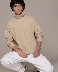 Private Label Men Solid Turtle Neck Beige Sweater size s 38 brown colour