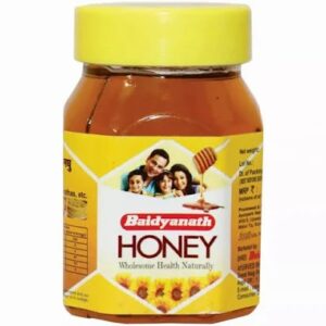 Baidyanath Nagpur Honey 100G