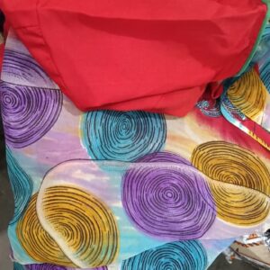 Multicolor Printed Saree And Red Blouse