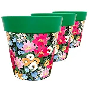 Libro 8 Inch Aesthetic Plant Pots Set Of 3