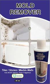 Wall Mold Removal Mould Stain Agent Cleaner 90ml