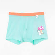 Superbottoms Pita And Orange Color Underwear For Kids Boy Size 10 To 12Yrs